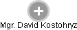 David Kostohryz - Vizualizace  propojení osoby a firem v obchodním rejstříku