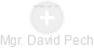 David Plch - Vizualizace  propojení osoby a firem v obchodním rejstříku