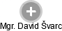 David Švarc - Vizualizace  propojení osoby a firem v obchodním rejstříku
