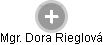 Dora Rieglová - Vizualizace  propojení osoby a firem v obchodním rejstříku