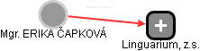  Čapková E. - Vizualizace  propojení osoby a firem v obchodním rejstříku