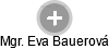 Eva Bauerová - Vizualizace  propojení osoby a firem v obchodním rejstříku