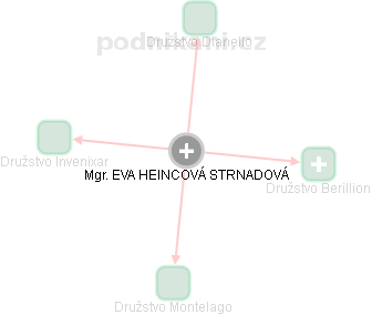 EVA HEINCOVÁ STRNADOVÁ - Vizualizace  propojení osoby a firem v obchodním rejstříku