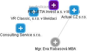 Eva Rabasová - Vizualizace  propojení osoby a firem v obchodním rejstříku