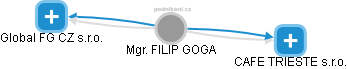 FILIP GOGA - Vizualizace  propojení osoby a firem v obchodním rejstříku