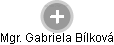  Gabriela B. - Vizualizace  propojení osoby a firem v obchodním rejstříku