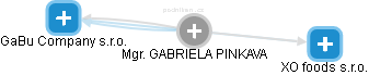 GABRIELA PINKAVA - Vizualizace  propojení osoby a firem v obchodním rejstříku