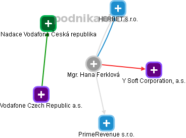 Hana Ferklová - Vizualizace  propojení osoby a firem v obchodním rejstříku