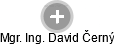  David Č. - Vizualizace  propojení osoby a firem v obchodním rejstříku