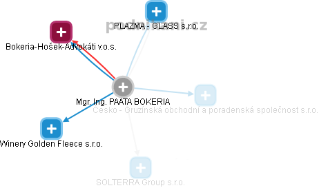 PAATA BOKERIA - Vizualizace  propojení osoby a firem v obchodním rejstříku