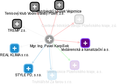 Pavel Karpíšek - Vizualizace  propojení osoby a firem v obchodním rejstříku