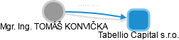  Konvička T. - Vizualizace  propojení osoby a firem v obchodním rejstříku