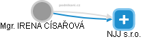  Irena C. - Vizualizace  propojení osoby a firem v obchodním rejstříku