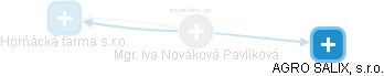  Nováková I. - Vizualizace  propojení osoby a firem v obchodním rejstříku
