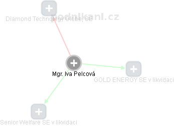 Iva Pelcová - Vizualizace  propojení osoby a firem v obchodním rejstříku