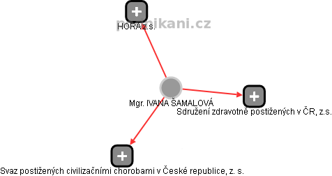 IVANA ŠAMALOVÁ - Vizualizace  propojení osoby a firem v obchodním rejstříku