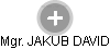 JAKUB DAVID - Vizualizace  propojení osoby a firem v obchodním rejstříku