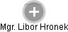 Libor Hronek - Vizualizace  propojení osoby a firem v obchodním rejstříku