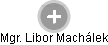 Libor Machálek - Vizualizace  propojení osoby a firem v obchodním rejstříku