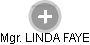 LINDA FAYE - Vizualizace  propojení osoby a firem v obchodním rejstříku