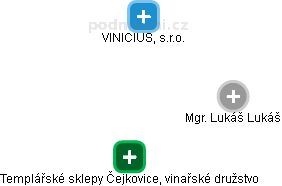 Lukáš Lukáš - Vizualizace  propojení osoby a firem v obchodním rejstříku