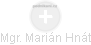 Marián Hnát - Vizualizace  propojení osoby a firem v obchodním rejstříku