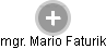  Mario F. - Vizualizace  propojení osoby a firem v obchodním rejstříku