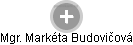 Markéta Budovičová - Vizualizace  propojení osoby a firem v obchodním rejstříku