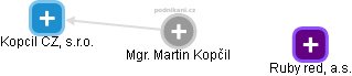 Martin Kopčil - Vizualizace  propojení osoby a firem v obchodním rejstříku