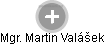 Martin Valášek - Vizualizace  propojení osoby a firem v obchodním rejstříku