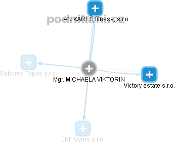 MICHAELA VIKTORIN - Vizualizace  propojení osoby a firem v obchodním rejstříku