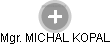 MICHAL KOPAL - Vizualizace  propojení osoby a firem v obchodním rejstříku