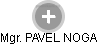 PAVEL NOGA - Vizualizace  propojení osoby a firem v obchodním rejstříku