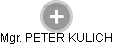 PETER KULICH - Vizualizace  propojení osoby a firem v obchodním rejstříku