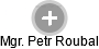 Petr R. - Vizualizace  propojení osoby a firem v obchodním rejstříku