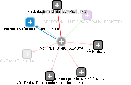 PETRA MICHÁLKOVÁ - Vizualizace  propojení osoby a firem v obchodním rejstříku