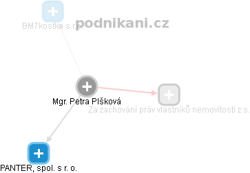 Petra Plšková - Vizualizace  propojení osoby a firem v obchodním rejstříku