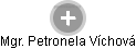  Petronela V. - Vizualizace  propojení osoby a firem v obchodním rejstříku