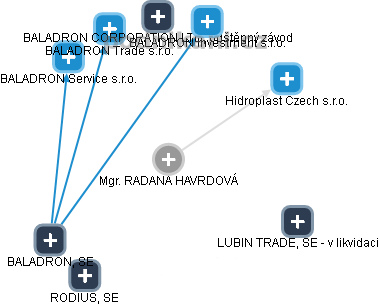RADANA HAVRDOVÁ - Vizualizace  propojení osoby a firem v obchodním rejstříku