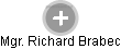 Richard Brabec - Vizualizace  propojení osoby a firem v obchodním rejstříku