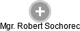 Robert Sochorec - Vizualizace  propojení osoby a firem v obchodním rejstříku