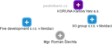  Roman Š. - Vizualizace  propojení osoby a firem v obchodním rejstříku