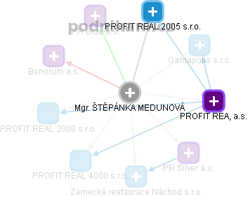  Štěpánka M. - Vizualizace  propojení osoby a firem v obchodním rejstříku