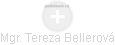 Tereza Bellerová - Vizualizace  propojení osoby a firem v obchodním rejstříku