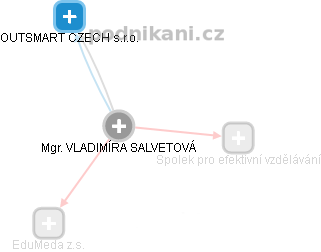  Vladimíra S. - Vizualizace  propojení osoby a firem v obchodním rejstříku