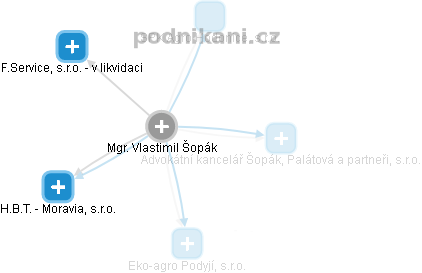 Vlastimil Šopák - Vizualizace  propojení osoby a firem v obchodním rejstříku