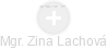 Zina Lachová - Vizualizace  propojení osoby a firem v obchodním rejstříku