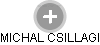 MICHAL CSILLAGI - Vizualizace  propojení osoby a firem v obchodním rejstříku