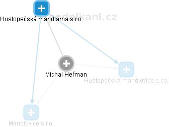  Michal H. - Vizualizace  propojení osoby a firem v obchodním rejstříku