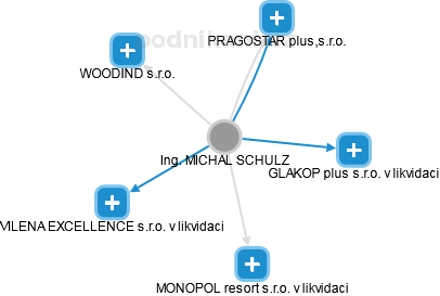 MICHAL SCHULZ - Vizualizace  propojení osoby a firem v obchodním rejstříku